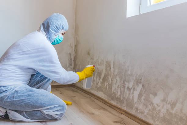Licensed Mold Removal service in Christiana, PA - WQB Mold Removal